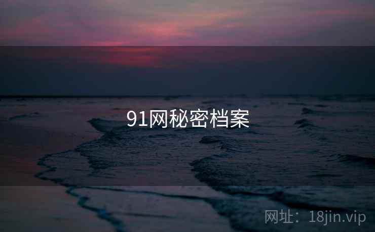 91网秘密档案