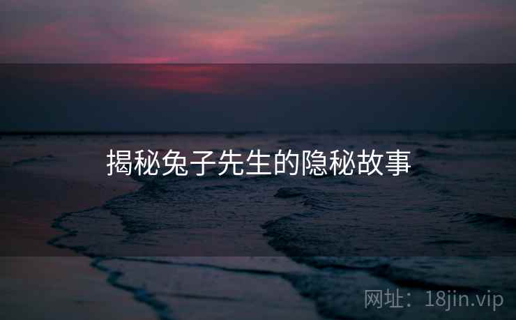 揭秘兔子先生的隐秘故事