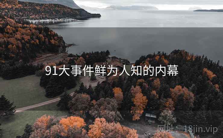 91大事件鲜为人知的内幕