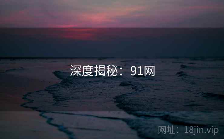 深度揭秘:91网