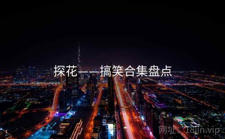 探花——搞笑合集盘点